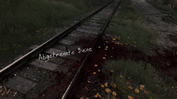 The Vanishing of Ethan Carter auf der Playstation 4 (Screenshot: Golem.de)